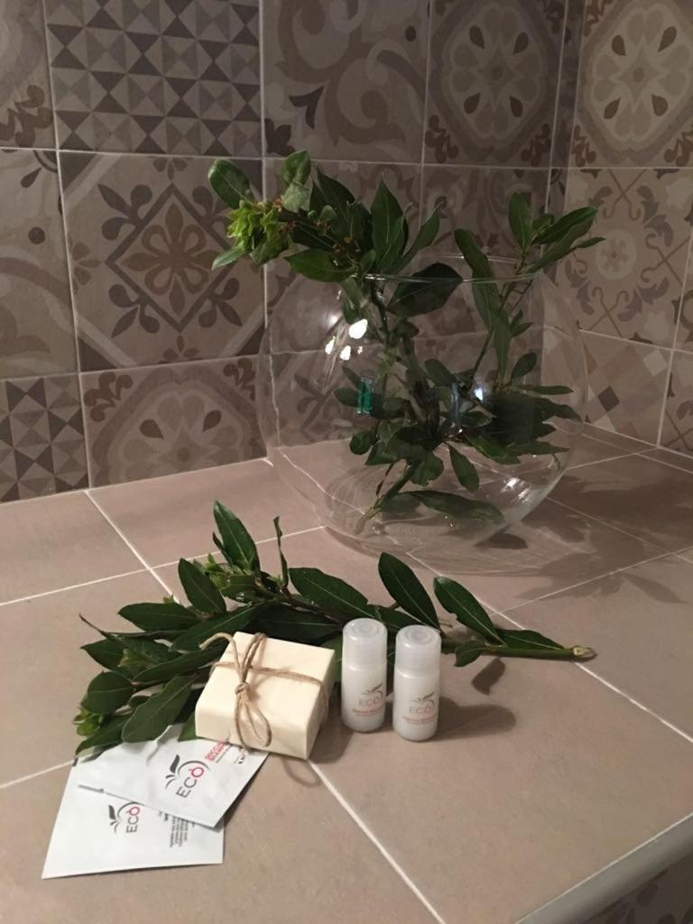 Il Giuggiolo Apartman Montalcino Kültér fotó