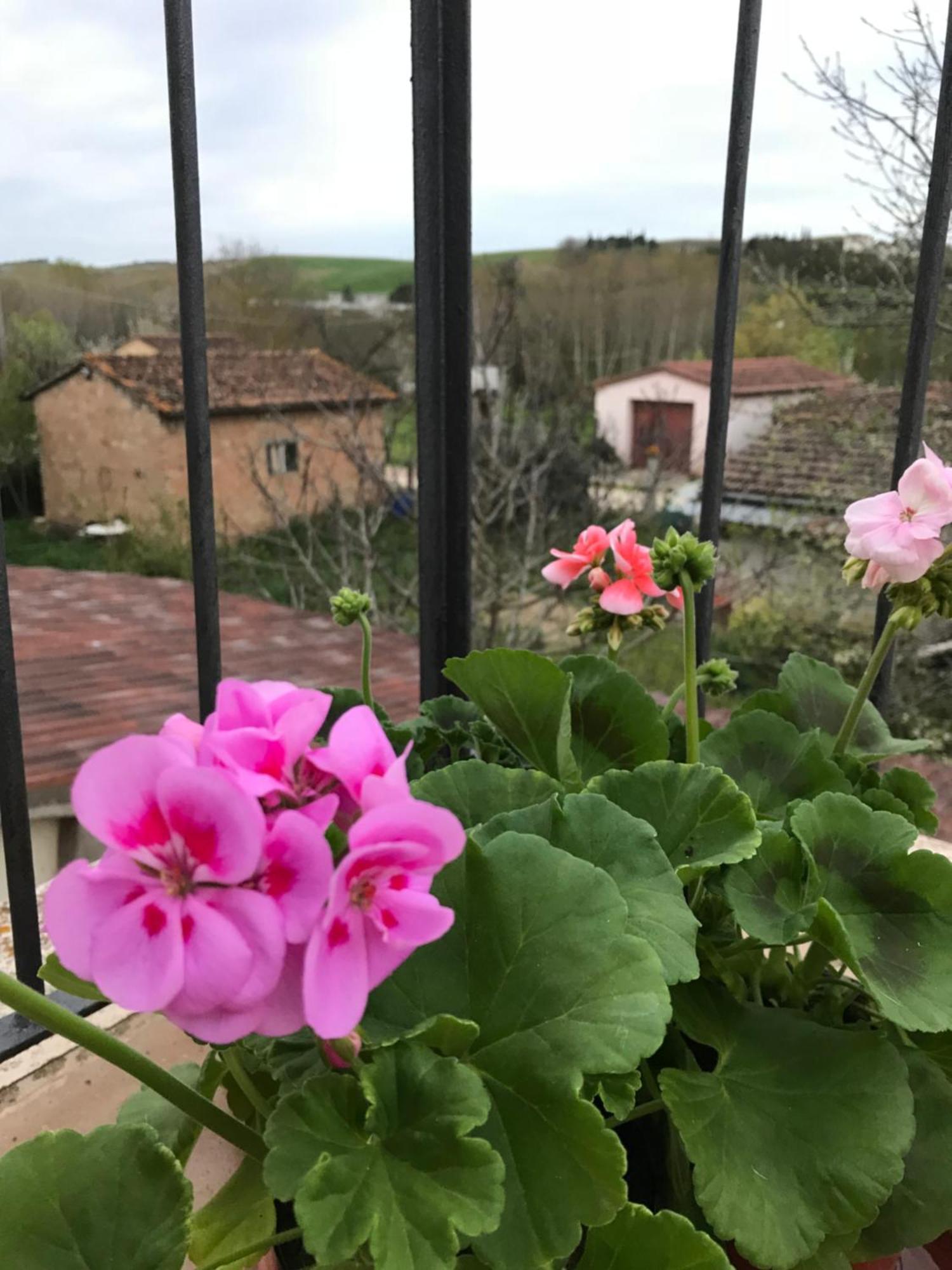 Il Giuggiolo Apartman Montalcino Kültér fotó