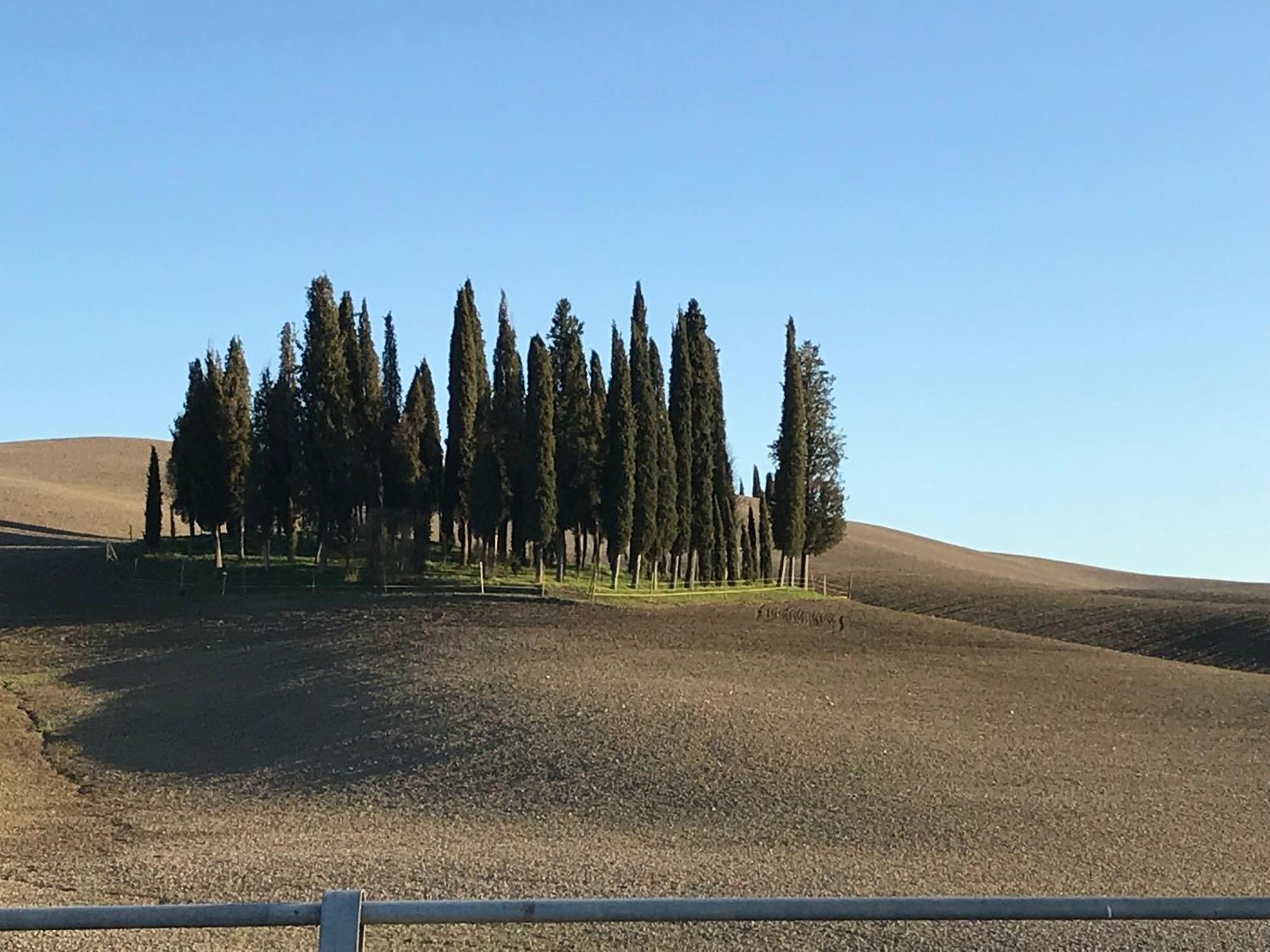 Il Giuggiolo Apartman Montalcino Kültér fotó
