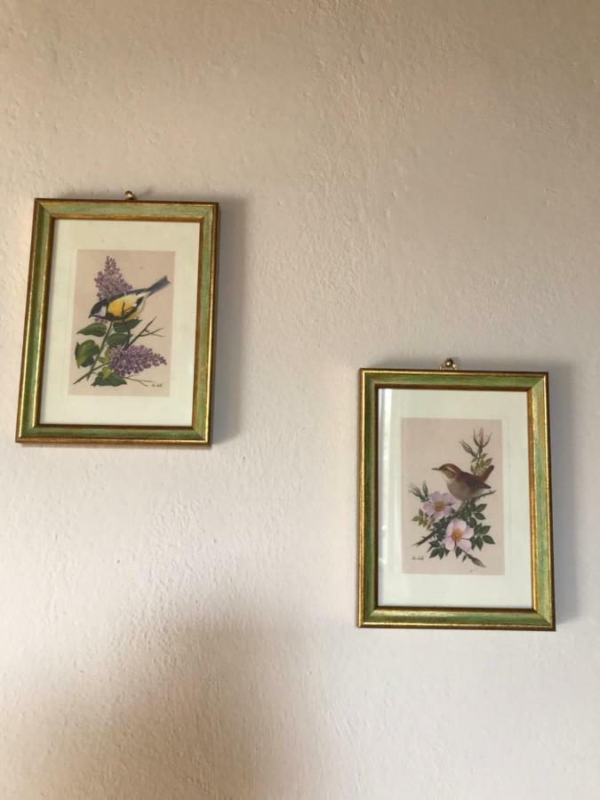 Il Giuggiolo Apartman Montalcino Kültér fotó